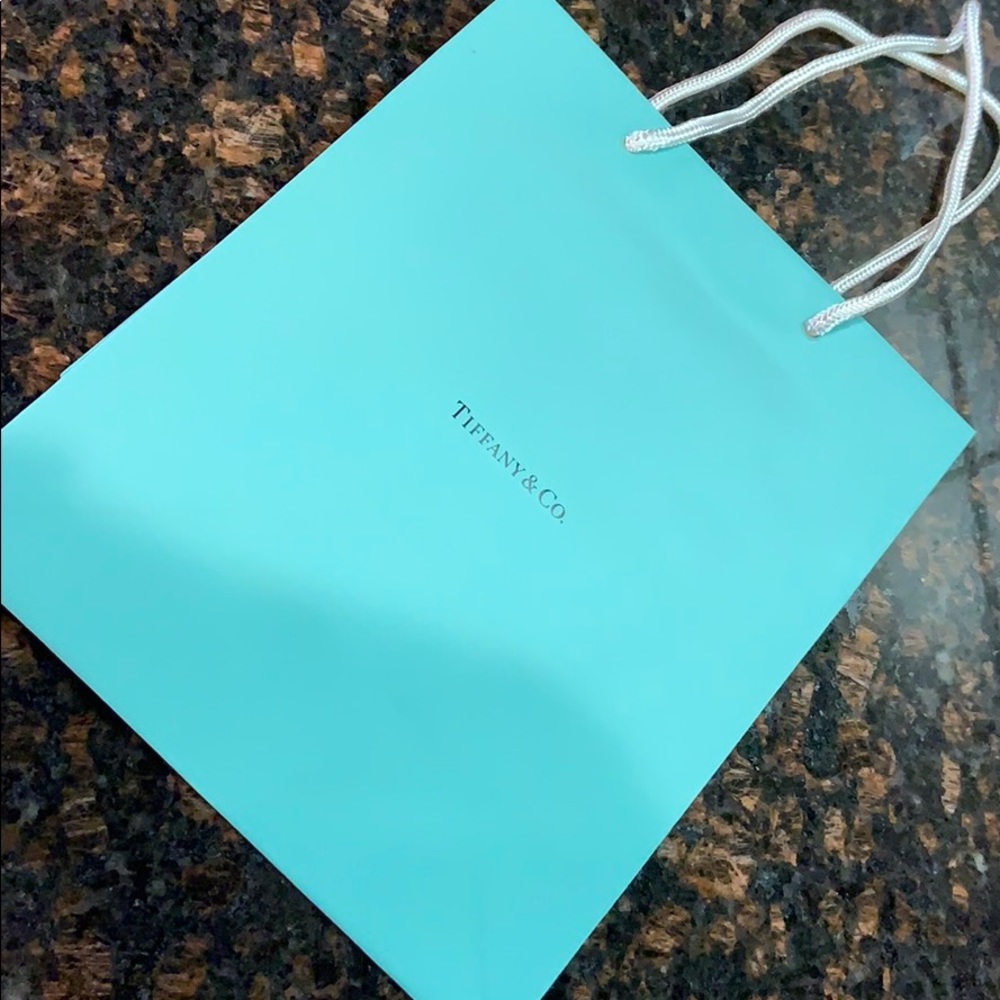 Tiffany & Co. shopping Gift Bag